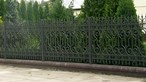 Wrought iron garden fence