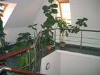 steel-balustrades